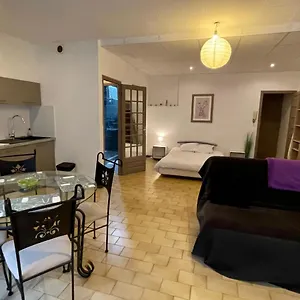 https://studio-avec-patio.hotels-rhonealpes.com